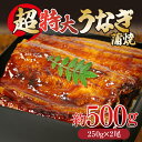 【ふるさと納税】 うなぎ 蒲焼き ( 特大 計500g 250g×2尾 ) ご飯にかける専用タレ付き！ 冷凍 | 夏 スタミナ うな重 うな丼 タレ 鰻 ウナギ うなぎの蒲焼