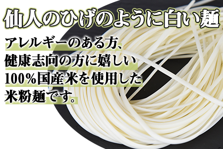 ＜高鍋の米粉麺「米仙人」 120g×10玉＞翌月末迄に順次出荷【c893_tr_x2】