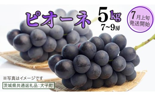 ピオーネ 5kg ( 7～9房 )【2025年7月上旬発送開始】(茨城県共通返礼品：大子町) ブドウ ぶどう 葡萄 ピオーネ 果物 フルーツ 果実