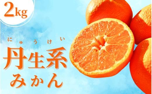 
                  【L~3Lサイズおまかせ】※秀優混合 丹生系みかん 2kg 味好農園【agy004-nyu-2A】
                