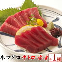 【ふるさと納税】天然本マグロ　本マグロ　中トロ・赤身　各1柵　（計400g） 刺身 漬け丼 海鮮丼 マグロ丼 ちらし寿司 鮪 まぐろ ネギトロ丼 魚介 惣菜 冷凍 送料無料 ＜eb014＞