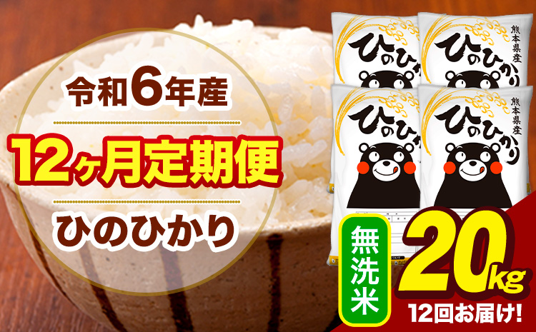 令和6年産 【12ヶ月定期便】 無洗米 米 ひのひかり 20kg《お申し込み月の翌月から出荷開始》熊本県 大津町 国産 熊本県産 無洗米 送料無料 ヒノヒカリ こめ お米