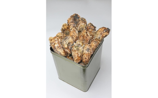 【発送時期が選べる】魚介類 牡蠣 / 山口水産の能登かき / 殻付き一斗缶[殻付き約70～80個]◇ ※2027年1月～発送｜ 牡蠣 かき カキ 能登牡蠣 殻付き牡蠣 殻付き 殻付 一斗缶 国産 オイスター 牡蠣鍋 かき鍋 カキフライ 海鮮 魚介類 貝類 海産物 石川県 七尾市 能登 お取り寄せ