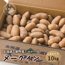 【ふるさと納税】【10月下旬頃発送予定】＜乙部町産メークイン　小玉10kg＞北海道　道産　乙部町 ホクホク　しっとり　食べやすい　小玉サイズ　新じゃが　芋　10kg　小玉　甘い　いももち　塩ゆで　塩辛　と　相性抜群　カレー　まとめ買い　煮崩れしずらい