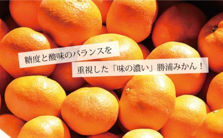 花岡農園 熟成みかん 秀品 S-LLサイズ 5kg