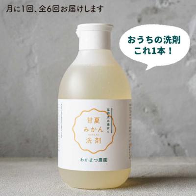 ふるさと納税 糸島市 【全6回定期便】【植物 由来】 万能 濃縮 甘夏 みかん 洗剤/わかまつ農園 [AHB021] |  | 01