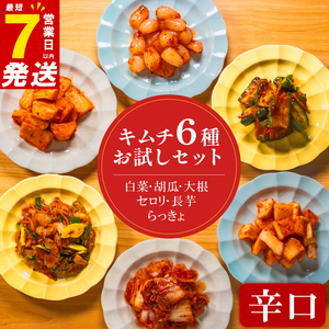 【 本場の味を再現 】 定番 キムチ 6種 詰め合わせセット 辛口 キムチ