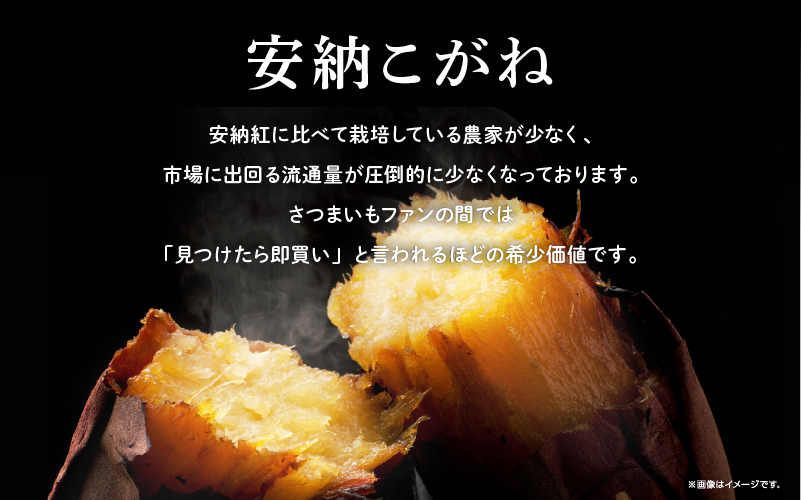 冷凍焼き芋（安納こがね）約２kg【南種子町観光物産館 トンミー市場】