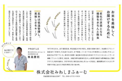 定期便 常陸牛農家が育てるコシヒカリ 5kg×6回 令和7年度産 米 お米 白米 こめ 精米 取り寄せ 特産 ごはん ご飯 コメ お取り寄せ ギフト 贈り物 お弁当 弁当 おにぎり ふっくら ツヤツヤ
