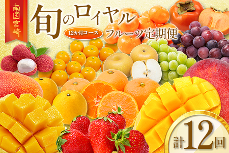 【12回】フルーツ定期便 旬のフルーツ G28-25