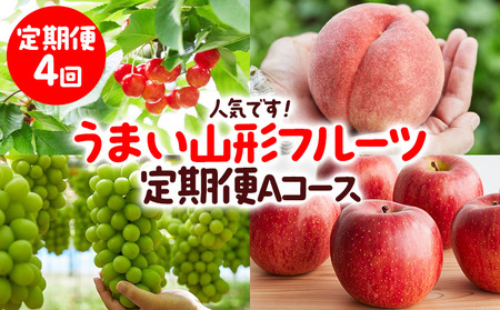 【定期便4回】人気です！うまい山形フルーツ定期便 Aコース 【令和8年産先行予約】FS23-851 くだもの 果物 フルーツ 山形 山形県 山形市 2026年産