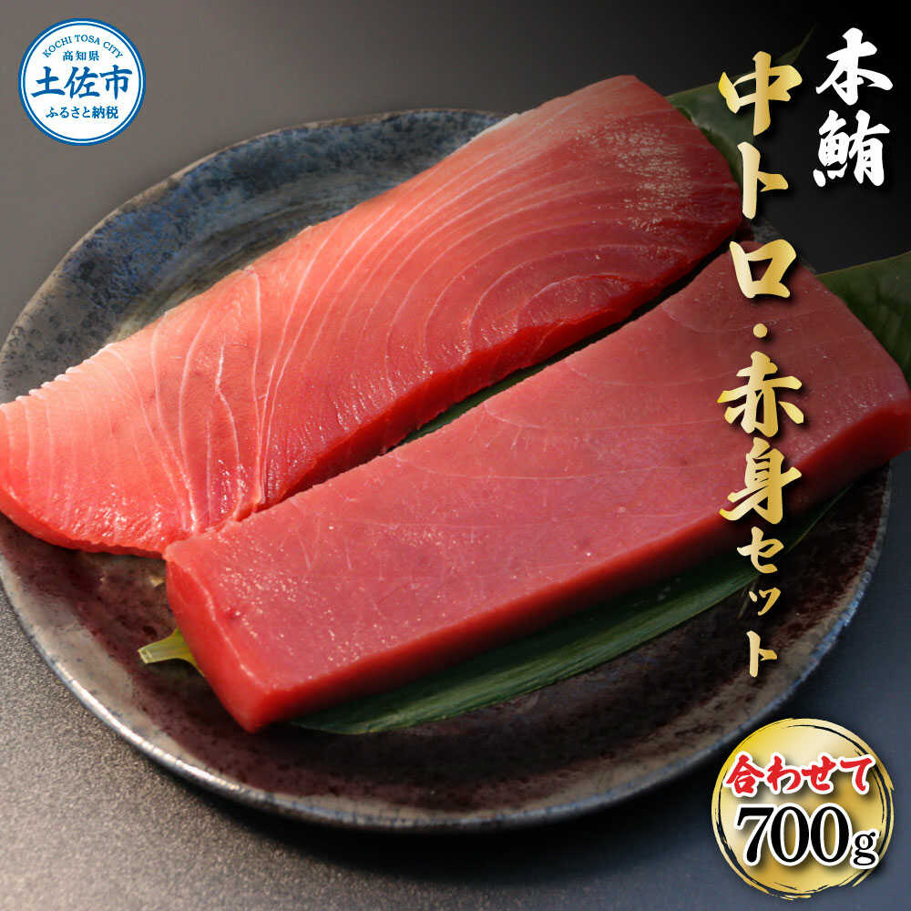 【ふるさと納税】本鮪 中トロ500g・赤身200g 合せて700g 赤身と中トロのセット 本マグロ まぐろ 刺身 海鮮丼 天然 国産 海鮮 魚介 お取り寄せ 鮪 中トロ バランス 赤身 高知県土佐市/株式会社大熊[BQAA047]