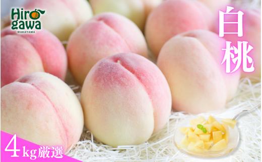 厳選 白桃 4kg / 桃 もも 甘い 高級 和歌山 ※7月上旬～8月中旬に順次発送 ※北海道・沖縄・離島への配送不可【ikd501-p-4】