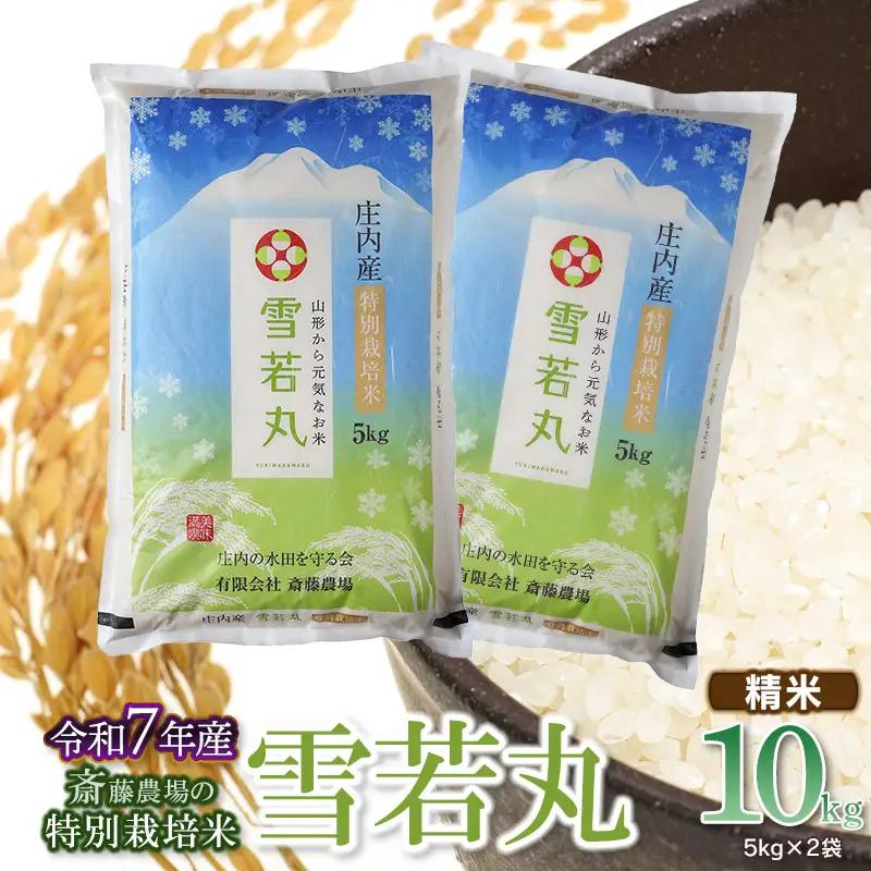 【令和7年産】斎藤農場の特別栽培米 雪若丸 10kg(5kg×2) 山形県鶴岡市 [K-7120]