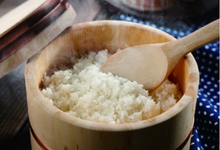 【令和7年産】【5回定期便】 阿賀野市産  新之助 10kg（5kg×2袋） 1W04143