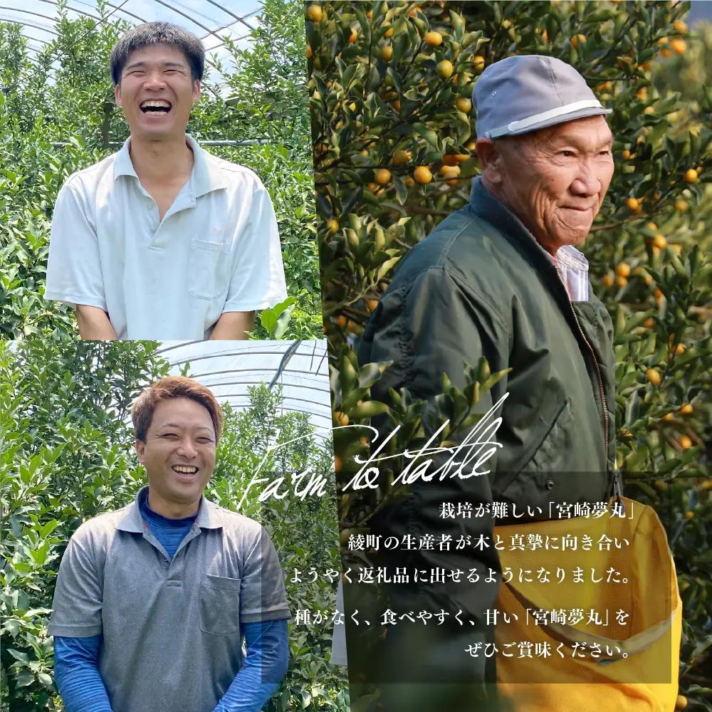 【先行予約】種なし きんかん「宮崎夢丸」 1kg 数量限定 種無し 果物 フルーツ くだもの 柑橘 金柑 プレミア おすすめ ギフト 贈り物 贈答 おやつ スイーツ デザート 糖度が高い 常温 産地直