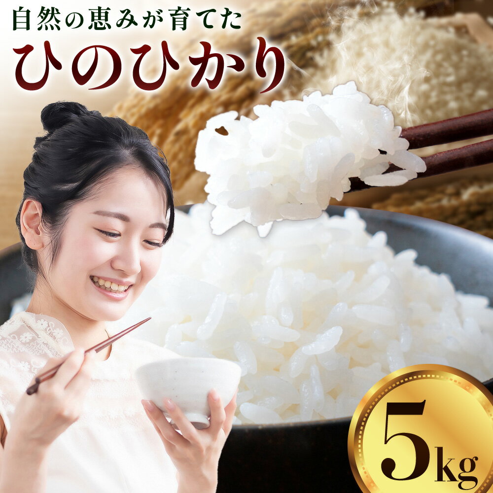 【ふるさと納税】【先行予約】令和7年産 米 ひのひかり5kg 城農園《10月下旬-11月中旬頃出荷》熊本県 菊池市 ふるさと納税 米 お米 新米 ご飯 ごはん 白ご飯 七城 ひのひかり ヒノヒカリ 令和7年産 菊池米 先行予約 精米 白米