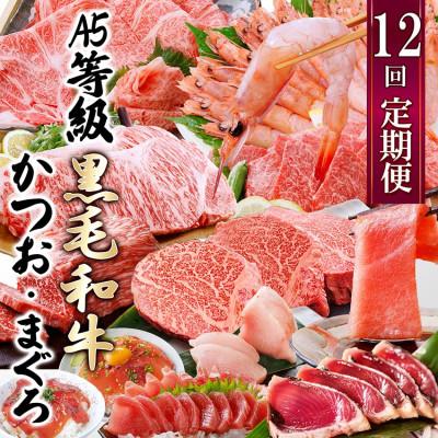 ふるさと納税 枕崎市 定期便(12回配送)A5等級黒毛和牛&amp;かつお・まぐろ KK-6004