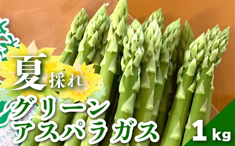 
            北海道栗山町産　夏のグリーンアスパラ（M～2Lサイズ）1kg オジファーム　D084
          