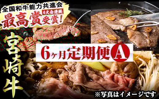 ＜先行予約受付中！2026年2月から発送開始予定＞【定期便・全6回(連続)】宮崎牛定期便＜Aセット＞お楽しみ便 牛肉 国産 定期 ヒレ肉 モモ ウデ ロース バラ スライス 宮崎県産 黒毛和牛 焼肉 ステーキ しゃぶしゃぶ すき焼き【R-67】【株式会社ミヤチク】