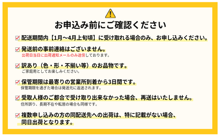 福岡県産 あまおう 数量限定 合計約1400g 約280g×5パック 数量限定 1kg以上 ふるさと納税 いちご フルーツ 果物 旬 イチゴ 苺 福岡県産 送料無料 ふるさと ランキング 人気 おすす
