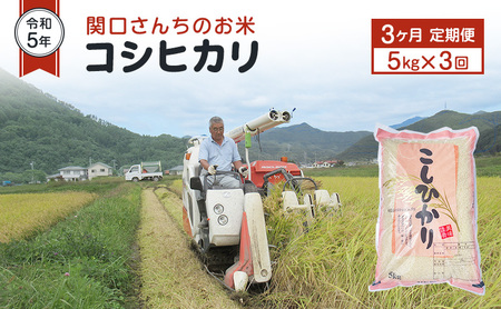 米 定期便 3ヶ月 令和6年 関口さんちのお米 コシヒカリ 5kg お米 こめ コメ 精米 白米 ご飯 こしひかり 長野 信州 3回 お楽しみ