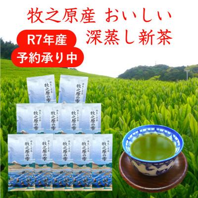 ふるさと納税 牧之原市 牧之原産 おいしい新茶「牧之原の雫」100g×11袋セット