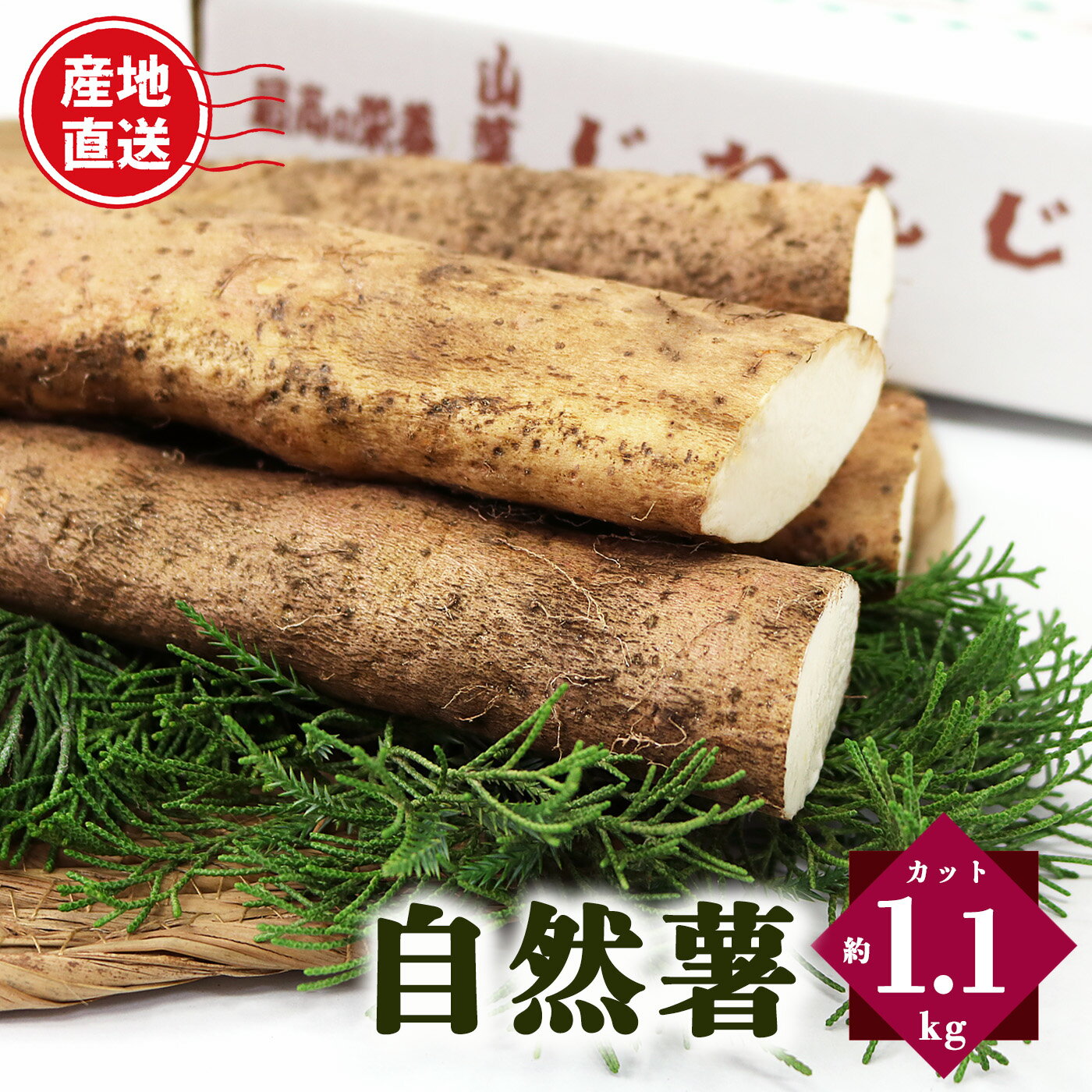 【ふるさと納税】自然薯 カット状態 約1.1kg | 芋 いも イモ とろろ じねんじょ 滋養強壮 御杖村 送料無料 期間限定 奈良県 御杖村 みつえむら