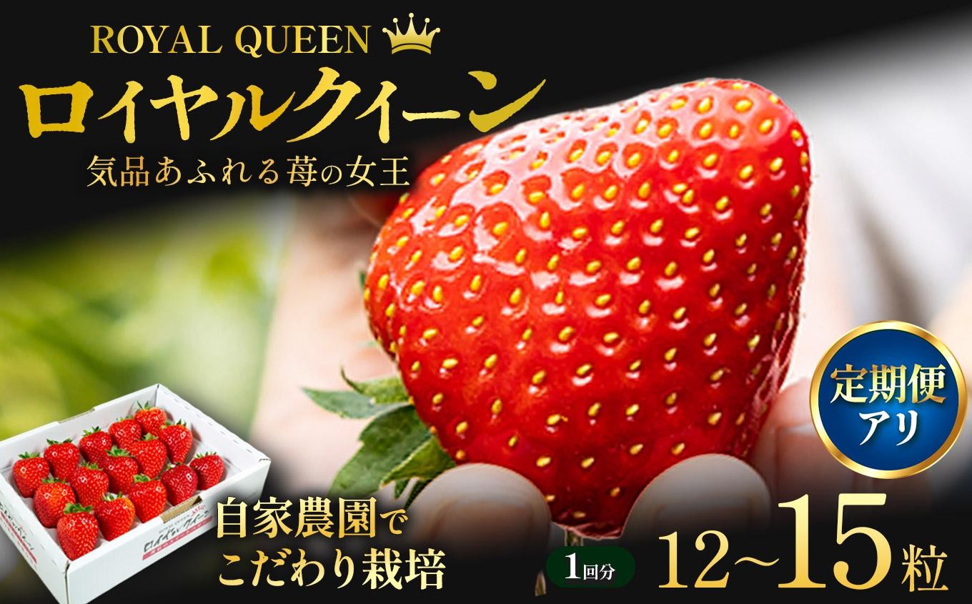 
                  [選べる定期便][期間限定] 栃木県産 いちご ロイヤルクイーン12～15粒 先行予約 選べる発送月 選べる定期便 3回｜栃木県産 矢板市産 フルーツ スイーツ デザート 果物 果実 産地直送 栃木県 矢板市
                