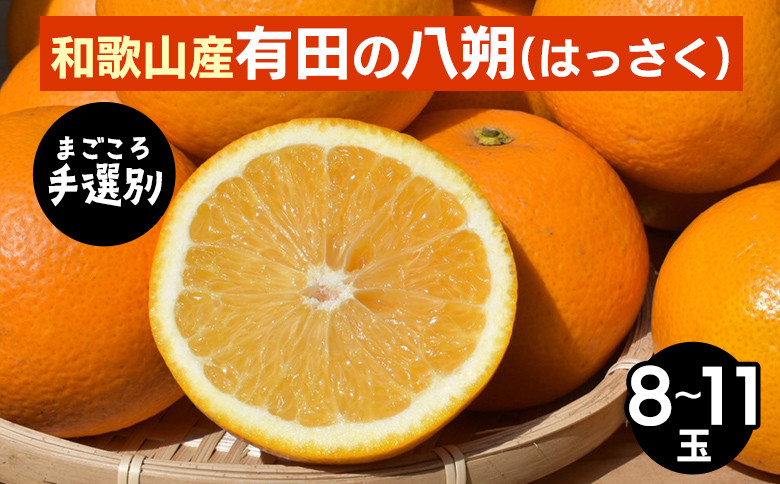 
            【まごころ手選別】和歌山産有田のはっさく　8～11玉 ※2026年1月上旬～3月下旬頃に順次発送予定
          