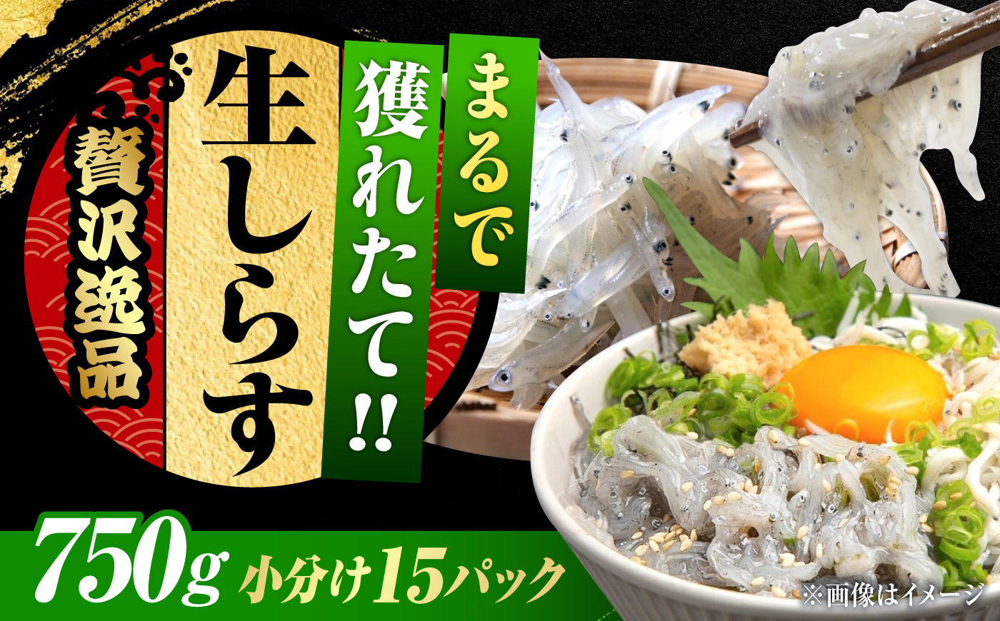 しらす 冷凍 シラス 小分け 干し 生しらすのプリッした食感と塩味が抜群！生しらす50g×15個 冷凍 シラス 鮮魚 ギフト 海鮮丼 広島県産 江田島市/三島水産株式会社 [XCN003] お肉・魚介