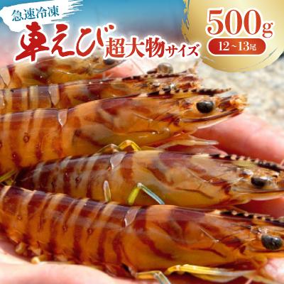 ふるさと納税 宜野座村 【養殖場から直送】急速冷凍車えび 超大物サイズ 500g(12〜13尾/500g×1P)