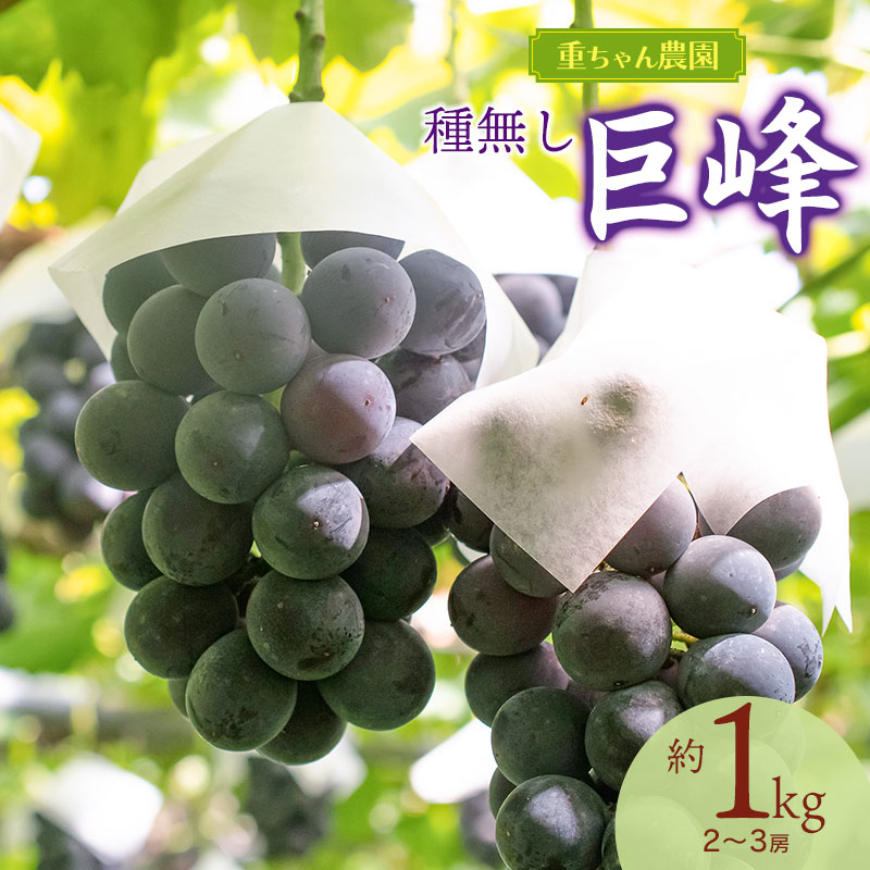 【ふるさと納税】【令和8年産先行予約】ぶどう 種なし巨峰 1kg(2〜3房）