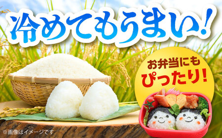 【全3回定期便】コシヒカリ 2kg 雲南市産 [AIDB107] コシヒカリ
