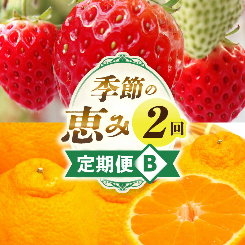 【ふるさと納税】季節の恵み2回定期便B フルーツ 果物 定期便 果物定期便 フルーツ定期便 定期 旬 旬の果物 デザート　スイーツ イチゴ デコポン 柑橘 柑橘系 贈り物 贈答 ギフト グルメ 人気 おすすめ ご褒美 お取り寄せ 旬の定期便 厳選 香川県 三木町 送料無料