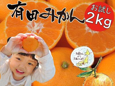 ［先行受付2025年11月発送～］NEW はじめまして 有田みかん  お試し 2kg 和歌山県産 / ORYY推奨山県産 混サイズ ORYY推奨 ［先行予約］