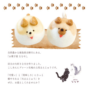 和菓子 上用まんじゅう セット 6個 猫 猫 猫 猫 猫