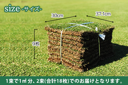 ＜高麗芝 2平方メートル 「冷蔵配送」＞2か月以内に順次出荷【c737_hg_x2】