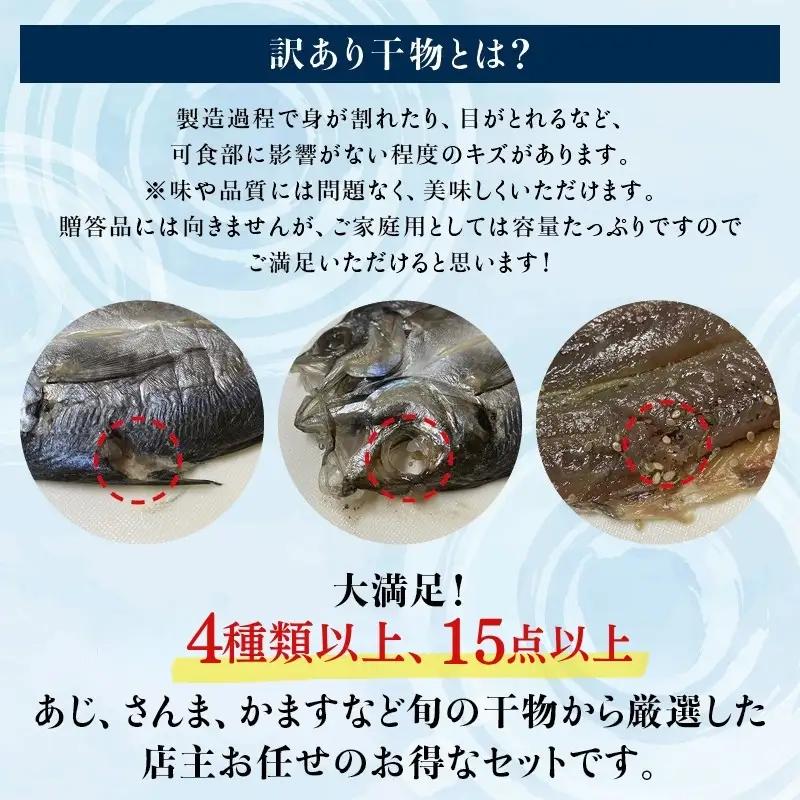 【訳あり干物セット】たっぷり15点以上！おざきのひもの「おまかせスペシャルセット」【冷凍】/ ひもの 干物 干物セット 個包装 イカ 一夜干し 訳あり わけあり【ozk103A-1】