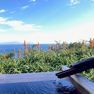愛犬と泊まる源泉かけ流しの小さな湯宿 湯宿福の湯 特定日限定宿泊券１泊２食付き１室２名様ご利用 1401 ／ 福の湯 静岡県 東伊豆 伊豆 愛犬 ペット