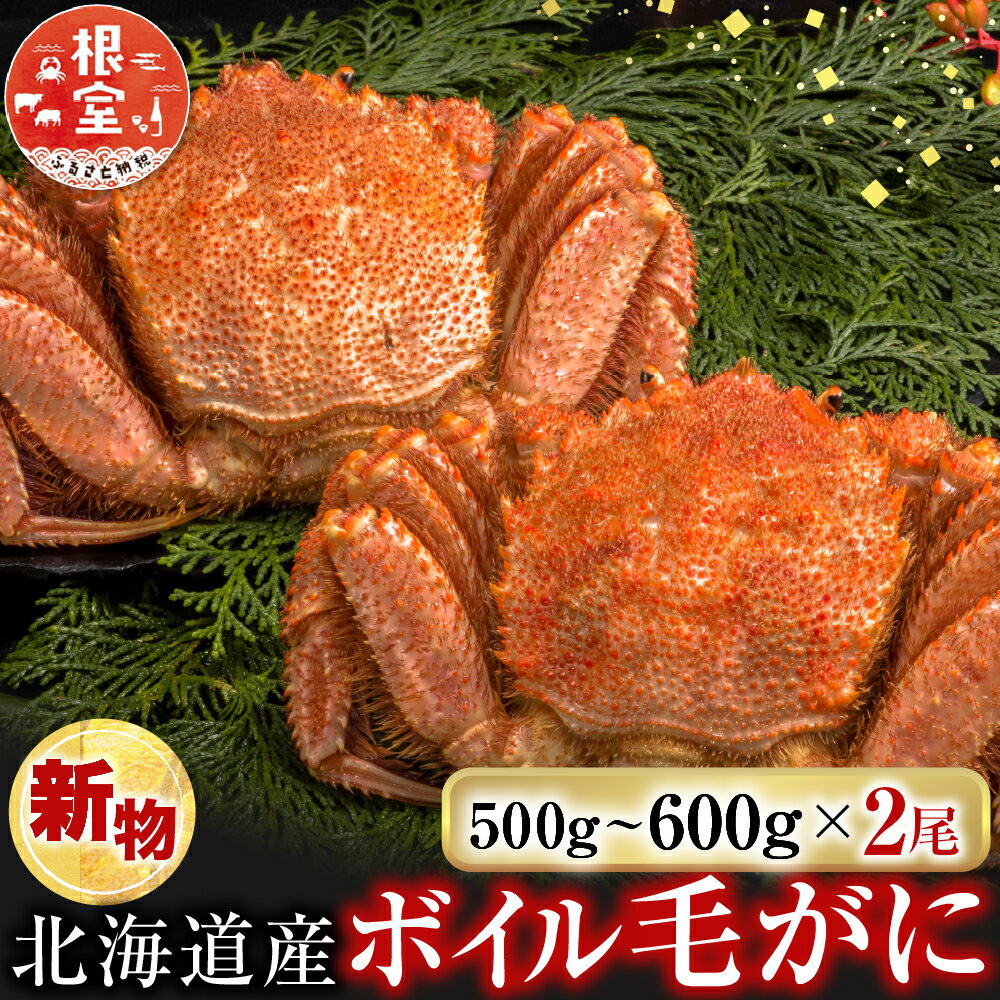 【ふるさと納税】ボイル毛がに500～600g×2尾 F-14030