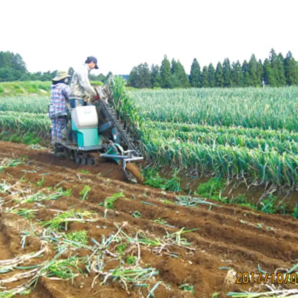 農業体験 青森県十和田市 半日コース（1名様分）＜レターパックプラス＞