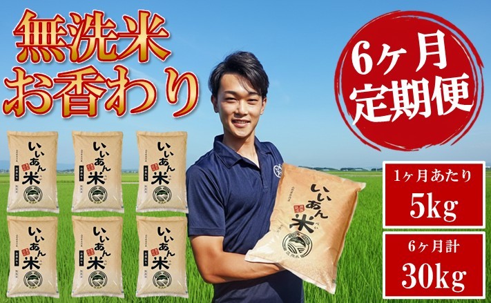 
                  ≪6ヶ月定期便≫ 無洗米 お香わり（山形95号） 5kg×6ヶ月連続 計30kg 山形県庄内産 毎月中旬頃にお届け 米 お米 精米 白米 定期便 AG アグレスト　SH0093
                