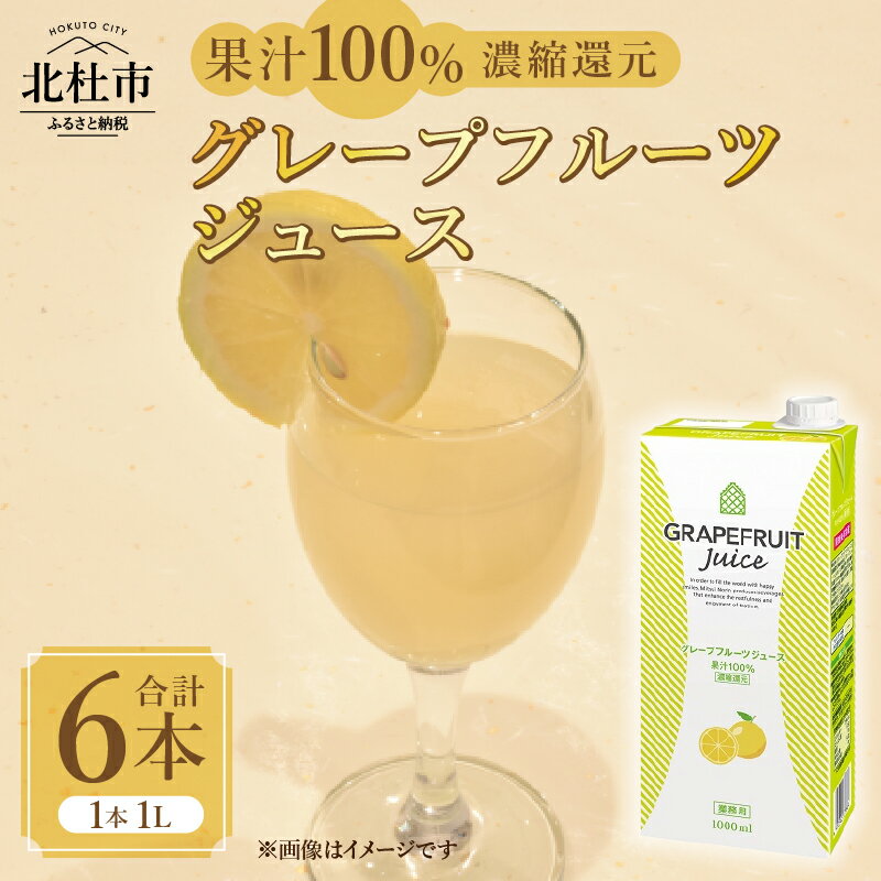 【ふるさと納税】 グレープフルーツジュース 濃縮還元 100％ ホワイトノーブル 1L 1000ml 6本 紙パック ストレート アレンジ グレープフルーツ 飲料 日東紅茶 業務用 優雅 贅沢 ティータイム 山梨県 北杜市 送料無料