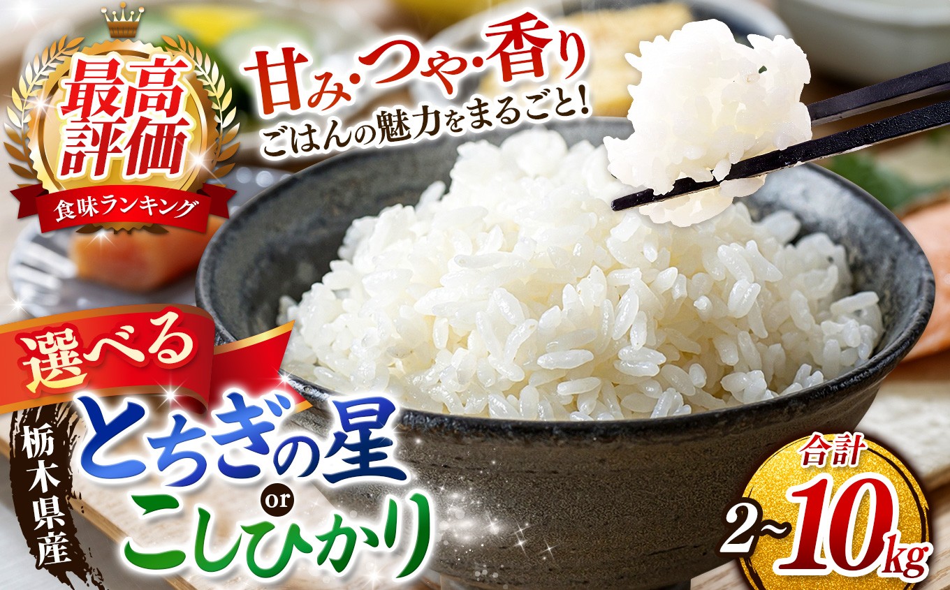 
                  【2026年先行予約】ごはんが主役！矢板市産こしひかり とちぎの星 白米 2kg ～ 5kg | 選べる お米 栃木県 矢板市
                