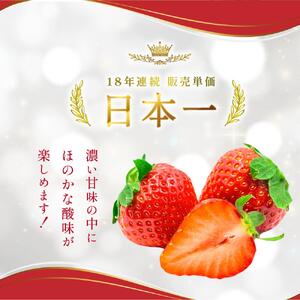 【2026年2月発送】いちご あまおう 560g いちご いちご いちご いちご イチゴ ONE001