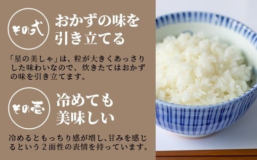 【定期便 3回】3ヶ月連続でお届け 星の美しゃ・於茂登のひかり・ひとめぼれ 5kg が毎月交互に届く(合計15kg)  石垣島産 【 日本一早い新米の産地 石垣 ふるさと納税 沖縄県 石垣市 石垣島 