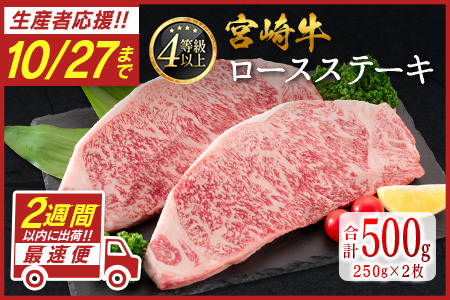 ＜数量限定!!＞宮崎牛 ロースステーキ 計500g（250g×2枚）肉質等級4等級 国産 人気 おすすめ【C346-S】