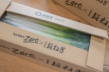 2026年11月下旬以降発送 長ネギ 2L 約5kg 約24-30本 農家直送 