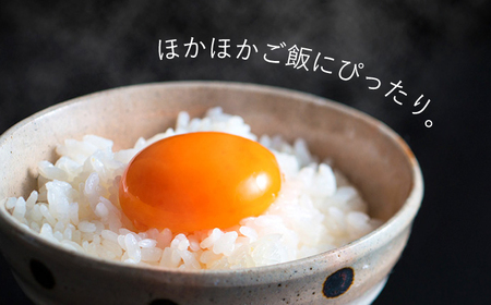 平飼い もみじ の 高級 たまご 40個 ※12月発送なし【野中鶏卵】[OAC013]